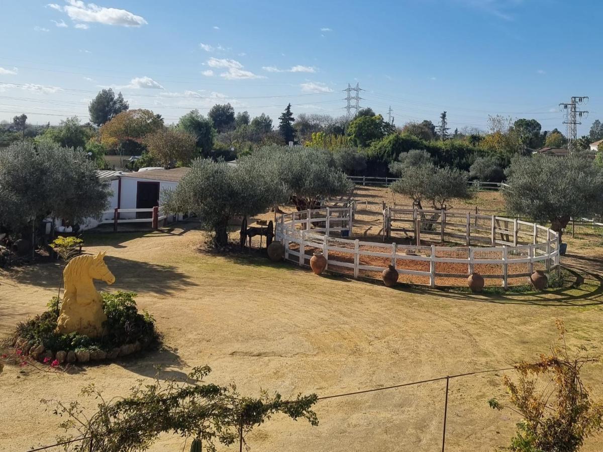 Finca Rural La Canera 16 Huespedes Sewilla Zewnętrze zdjęcie