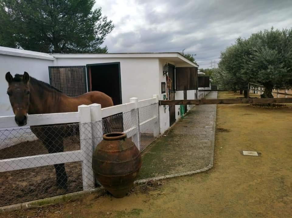 Finca Rural La Canera 16 Huespedes Sewilla Zewnętrze zdjęcie